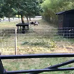 Feriehus Sdr. Bork *