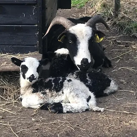 Casa de Férias Sdr. Bork *