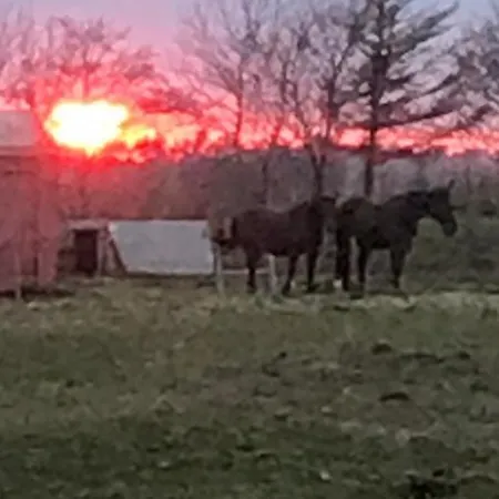 Sdr. Bork Holiday home