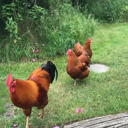 Sdr. Bork Holiday home *