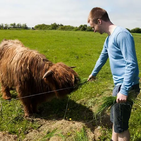 Holiday home Sdr. Bork