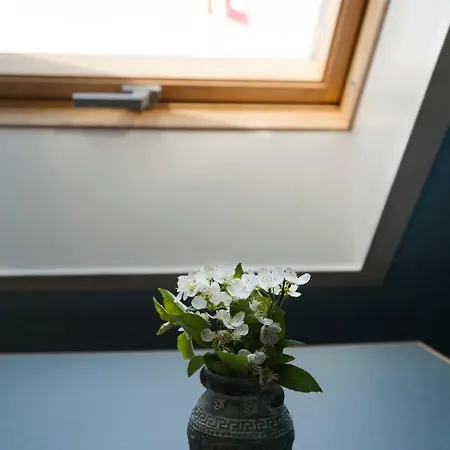 Casa de Férias Sdr. Bork *