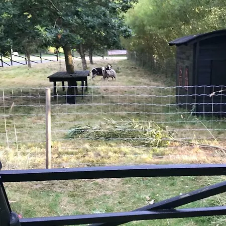 Vakantiehuis Sdr. Bork *