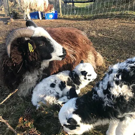 Casa de Férias Sdr. Bork Hemmet