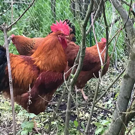 Sdr. Bork Holiday home *