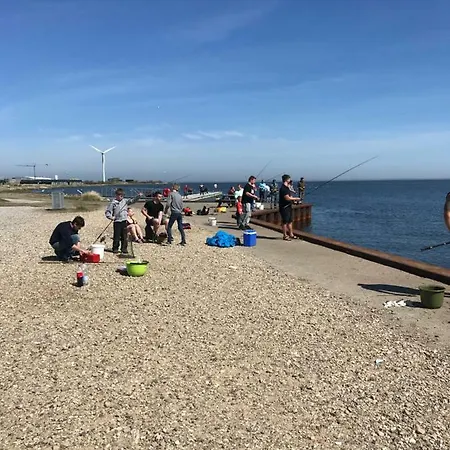 Sdr. Bork Holiday home