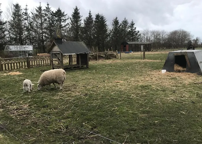 Holiday home Sdr. Bork Hemmet